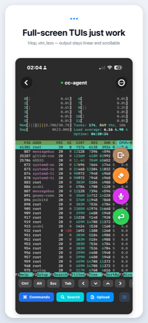 A full-screen TUI rendering correctly inside the terminal.