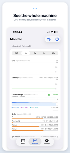 Host metrics page with CPU, memory, load average, disks and Docker containers.