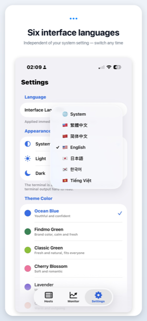 Interface language picker with six languages.