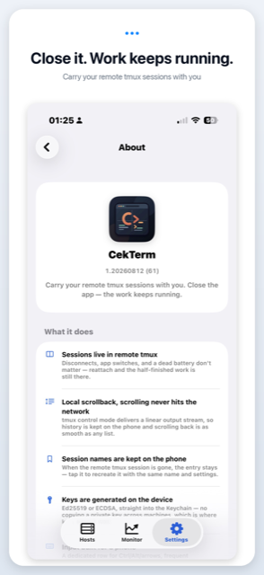 Reopening the app and reattaching to the same session, output intact.